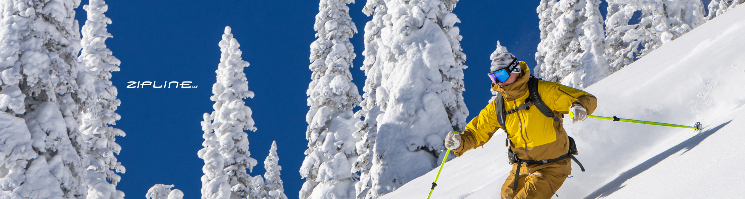 Zipline Ski | Discover Quality Products Today!